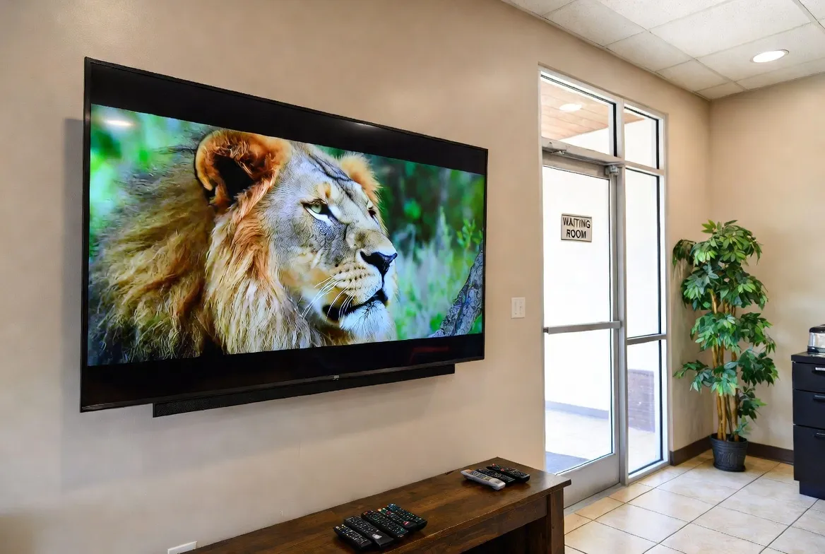 Auto repair shop waiting room with TV streaming IPTV nature content
